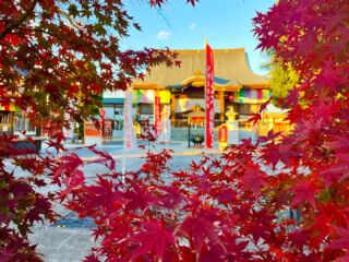 下野厄除大師 | 栃木県にある真言宗のお寺。本尊様は大日如来。